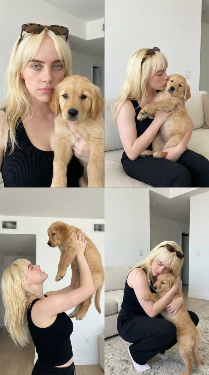Puppy Hug Moments